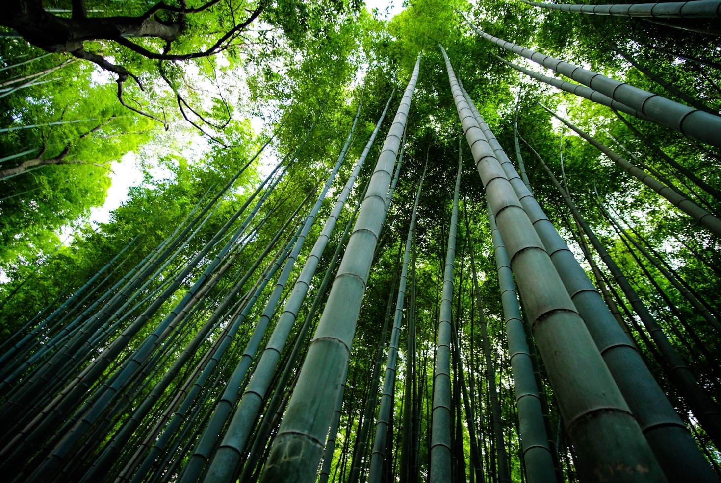 Integração de ambientes com sustentabilidade